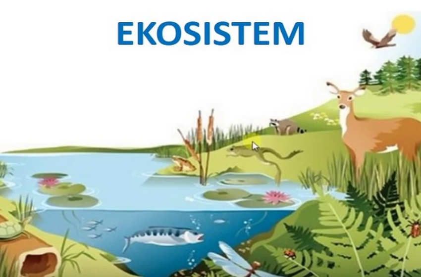  Pengertian Ekosistem: Ciri-Ciri, Fungsi, Jenis